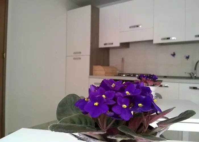 I Tre Bassotti Couette-café *